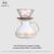 Colorful models + wooden tray + fluorescent lamp sharing pot 450ml